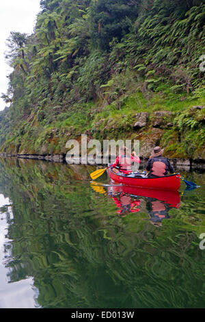 Kanufahren auf der Whanganui-Reise, eine von Neuseelands aufgeführten Great Walks, entlang des Whanganui River Stockfoto