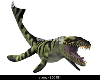 Dakosaurus marine Reptil aus dem Jura in die Kreidezeit Ära lebte und war ein Fleischfresser. Stockfoto