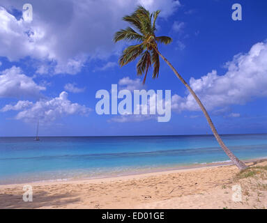 Darkwood Beach, Saint Mary Parish, Antigua, Antigua und Barbuda, kleine Antillen, Caribbean Stockfoto