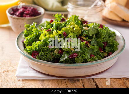 Einen leckeren Grünkohl-Salat mit getrockneten Preiselbeeren und Kürbis-Samen. Stockfoto