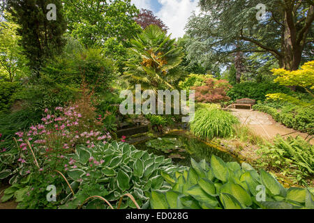 Weg schlängelnd durch Dichte Smaragd Vegetation & vorbei an krautigen Grenze im Secret Garden in Blenheim Palace, England Stockfoto