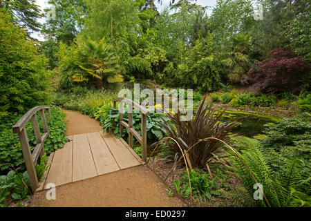 Weg & niedrige Brücke über Zierteich, umgeben von dichten grünen Vegetation im Secret Garden in Blenheim Palace, England Stockfoto