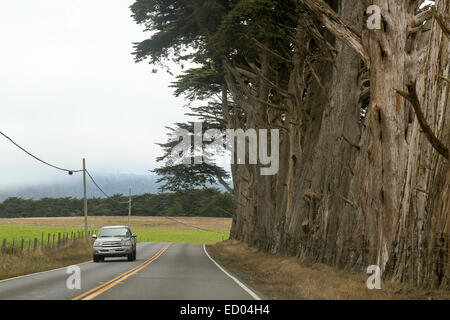 Eine Straße in Mendocino County, California, Vereinigte Staaten von Amerika Stockfoto