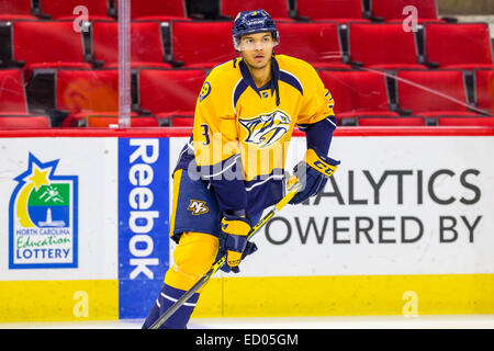 Raleigh, North Carolina, USA. 2. Dezember 2014. Nashville Predators Verteidiger Seth Jones (3) während des NHL-Spiels zwischen den Nashville Predators und den Carolina Hurricanes in der PNC-Arena. Carolina Hurricanes besiegten die Nashville-Predators2-1. © Andy Martin Jr./ZUMA Draht/Alamy Live-Nachrichten Stockfoto