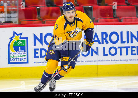 Raleigh, North Carolina, USA. 2. Dezember 2014. Nashville Predators links Flügel Taylor Beck (41) während des NHL-Spiels zwischen den Nashville Predators und den Carolina Hurricanes in der PNC-Arena. Carolina Hurricanes besiegten die Nashville-Predators2-1. © Andy Martin Jr./ZUMA Draht/Alamy Live-Nachrichten Stockfoto