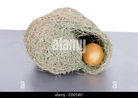 Tierische Nest Gold Egg niemand Stockfoto