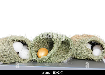 Tierische Nest Ei niemand Stockfoto