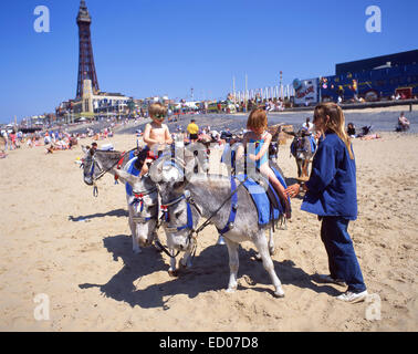 Eselreiten auf Blackpool Sands, Blackpool, Lancashire, England, Vereinigtes Königreich Stockfoto