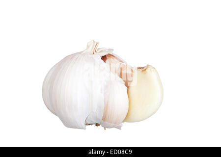 Knoblauch Kopf wird auf einem weißen Hintergrund isoliert Stockfoto
