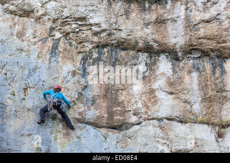 Wales, Llandudno, Great Orme, weibliche Kletterer Stockfoto