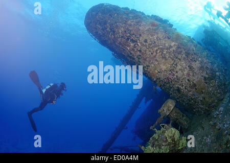 Taucher am Wreckship Gianis D. Rotes Meer, Sharm El Sheikh, Ägypten Stockfoto
