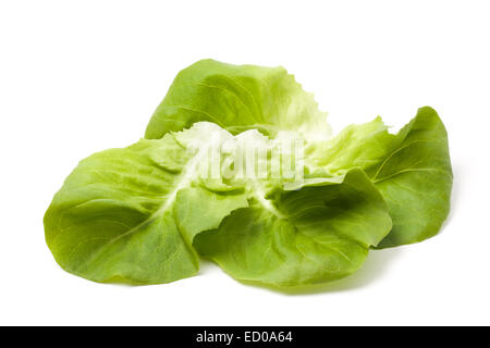 Frischer grüner Salat Blätter isolierten auf weißen Hintergrund. Stockfoto