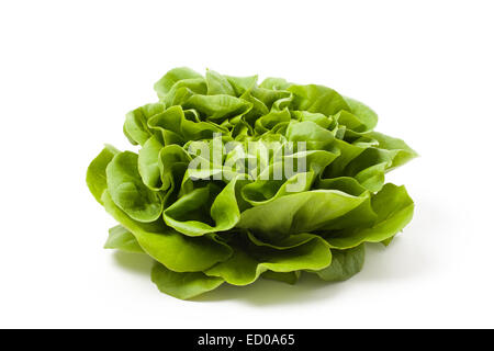 Frischer grüner Salat isoliert auf weißem Hintergrund. Stockfoto