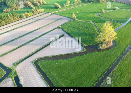 Marsh Audomarois, Gartenbau (Luftbild), Salperwick, Pas-De-Calais, Frankreich Stockfoto