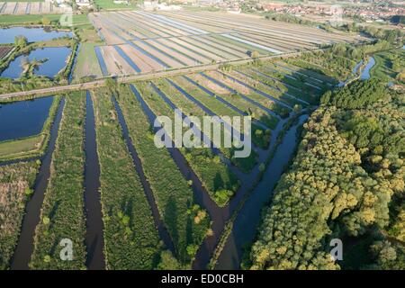 Marsh Audomarois, Gartenbau (Luftbild), Salperwick, Pas-De-Calais, Frankreich Stockfoto