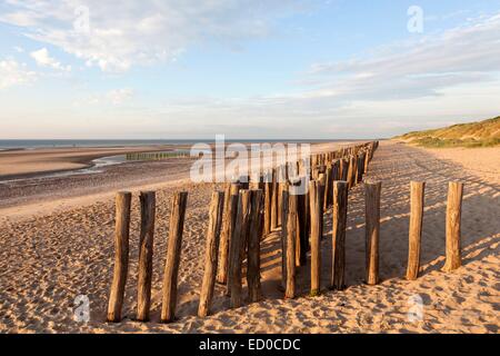 Frankreich, Pas-De-Calais, Sangatte, Einsätze Wellenbrecher Stockfoto