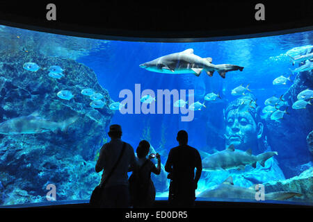 Bangkok, Thailand. 23. Dezember 2014. Besucher betrachten Fische in Bangkok Sea Life Ocean World Aquarium in Bangkok, Thailand, 23. Dezember 2014. © Rachen Sageamsak/Xinhua/Alamy Live-Nachrichten Stockfoto