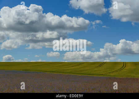 Ländliche Landschaft und teilweise bewölkten Himmel Stockfoto