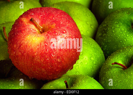 roter Apfel unter grünen Äpfeln Stockfoto