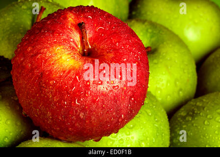 roter Apfel unter grünen Äpfeln Stockfoto