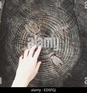 Hand und Baum-Stamm Stockfoto