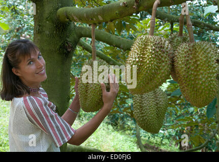 Junge Frau hat halt ein Durian in ihren Händen. Dies ist eine Durian-Plantage, Thailand. Stockfoto