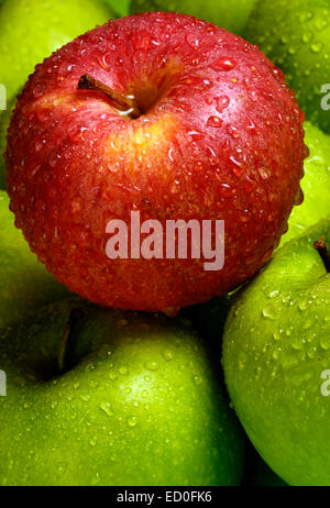 roter Apfel unter grünen Äpfeln Stockfoto