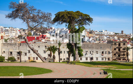 Jardins De La Mendoubia. Blick auf die Straße mit altem Baumbestand der Place du 9 Avril 1947. Tanger, Marokko Stockfoto