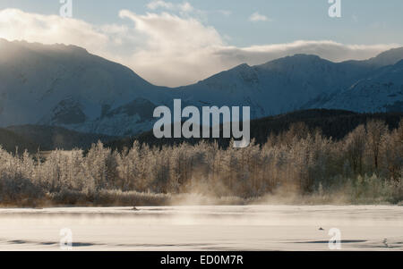 Die Chilkat Valley unter einer Decke von Schnee, mit Bergen im Hintergrund. Südost-Alaska. Stockfoto