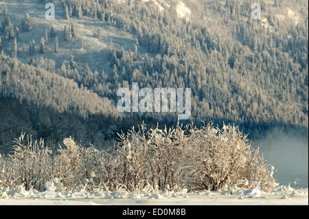 Die Chilkat Valley unter einer Decke von Schnee, mit Bergen im Hintergrund. Südost-Alaska. Stockfoto