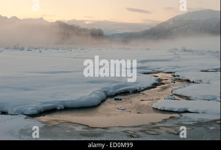 Die Chilkat Valley unter einer Decke von Schnee, mit Bergen im Hintergrund. Südost-Alaska. Stockfoto