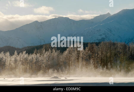 Die Chilkat Valley unter einer Decke von Schnee, mit Bergen im Hintergrund. Südost-Alaska. Stockfoto