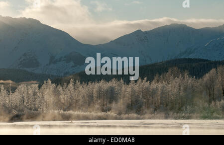 Die Chilkat Valley unter einer Decke von Schnee, mit Bergen im Hintergrund. Südost-Alaska. Stockfoto