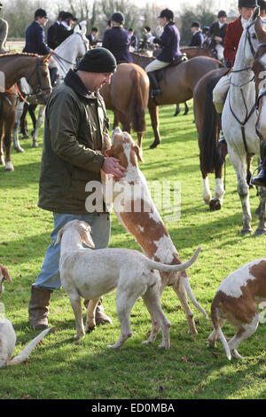 Oakham, Rutland, UK. 23. Dezember 2014. Ein Fuß-Anhänger bei der Treffen der Cottesmore Hunde statt in das Dorf Barleythorpe in der Nähe von Oakham, Rutland, England, Freundschaften mit einigen der Fox Hounds dort. Bildnachweis: Jim Harrison/Alamy Live-Nachrichten Stockfoto