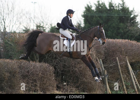 Oakham, Rutland, UK. 23. Dezember 2014. Eines der die berittenen Anhänger springen eine Hecke auf der Jagd mit den Cottesmore Hunden in dem Dorf Barleythorpe in der Nähe von Oakham, Rutland, England nach Treffen statt dort Kredit: Jim Harrison/Alamy Live News Stockfoto