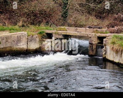 Wasser rauscht durch die offene Schleuse des alten Stauschleuse an Compton Schleuse auf die Itchen Navigation in der Nähe von Winchester. Stockfoto