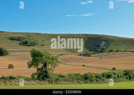 Landschaftsblick auf den langen Mann von Wilmington, Wilmington, East Sussex, England, Uk Stockfoto