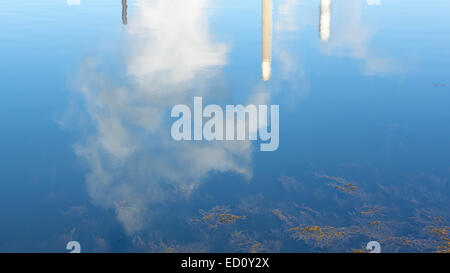 Einige Schornsteine emittiert Dampf und Dampf reflektiert auf ruhigem Wasser mit Algen im Vordergrund. Stockfoto