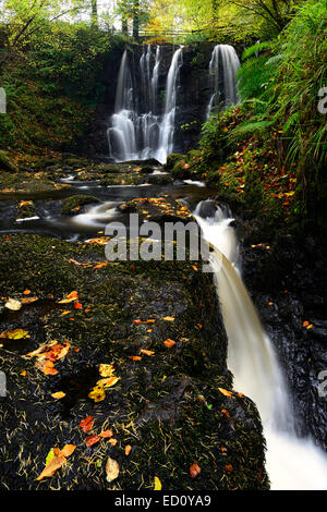 Ess-Na-Crub Wasserfall fällt im Herbst herbstliche Inver Fluss Glenariff Forest Park County Antrim Nordirland RM Glens von antrim Stockfoto