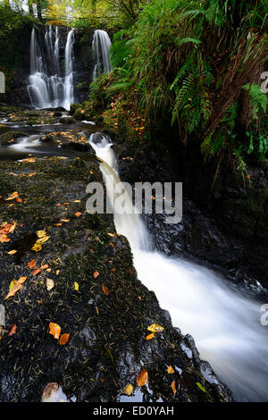 Ess-Na-Crub Wasserfall fällt im Herbst herbstliche Inver Fluss Glenariff Forest Park County Antrim Nordirland RM Glens von antrim Stockfoto