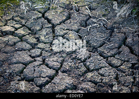 Dürr und getrockneten Torf auf einem abgelegenen Anwesen in Schottland Stockfoto
