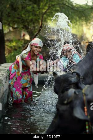 Indische Mädchen spritzen die Büffel mit Wasser Indien Stockfoto