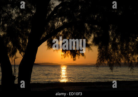 Sonnenuntergang über Tamarisk Baum am Strand von Elios, Skopelos, Griechenland gesehen. Oktober Stockfoto