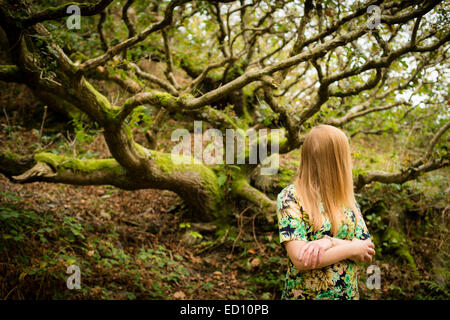 Schüchternheit: Eine rätselhafte Bild von einer jungen Frau Mädchen mit langen blonden Haaren versteckt, verdeckt auf ihr gesamtes Gesicht stehen alleine allein im Herbst Bäume Wälder Wald, uk Stockfoto