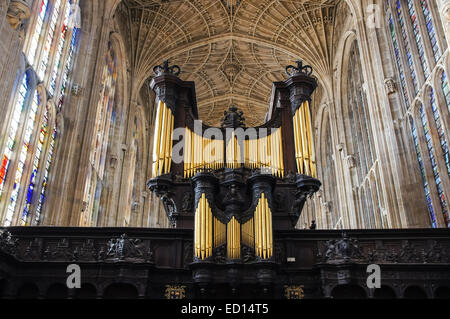 Pipe Organ und Innenraum des Königs College Chapel, Cambridge Cambridgeshire England Vereinigtes Königreich Großbritannien Stockfoto