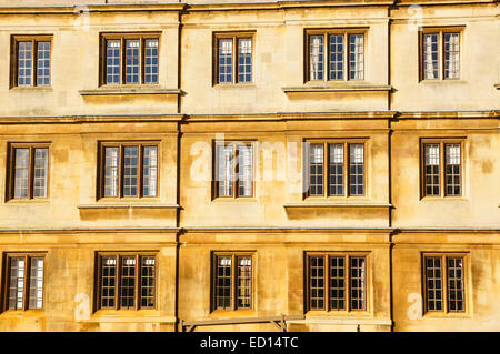 Der University of Cambridge, Fenster des Clare College in Cambridge Cambridgeshire England Vereinigtes Königreich Großbritannien Stockfoto