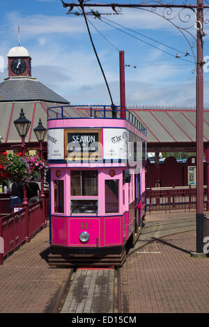 Die Seaton rosa elektrische Straßenbahn an der Haltestelle warten auf mehr Touristen Stockfoto