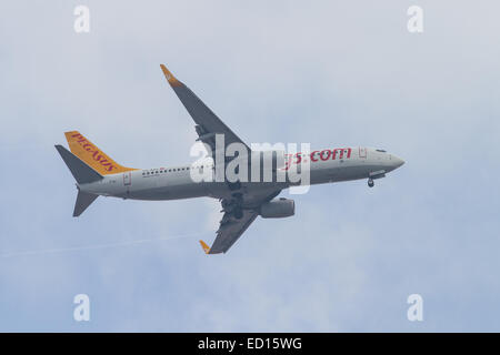 ISTANBUL, Türkei - 17. August 2014: Pegasus Airlines Boeing 737-800, Sabiha Gökçen Flughafen landen. Pegasus ist der zweite larg Stockfoto