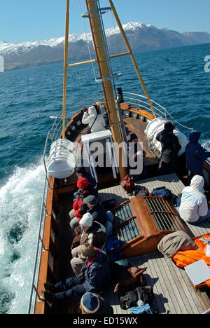 Whale-watching Touren, die von Husavik verlassen und fahren in das Meer Grönland in geschältem Holzboote, wo Humpback Wale Areseen. Stockfoto