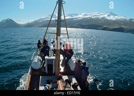 Whale-watching Touren, die von Husavik verlassen und fahren in das Meer Grönland in geschältem Holzboote, wo Humpback Wale Areseen. Stockfoto